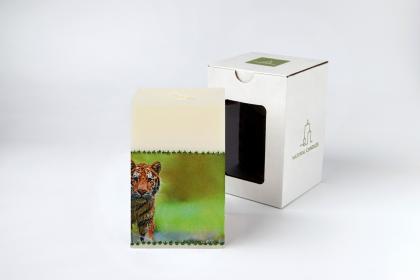 tigris37494