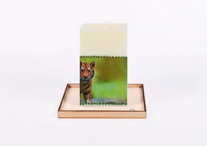 tigris928